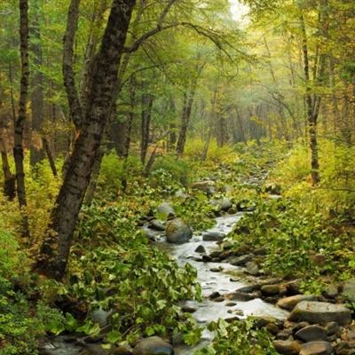 风云体育app下载官网最新版