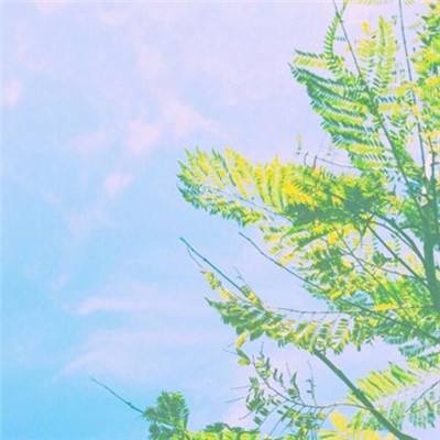 亚虎娱乐下载手机版