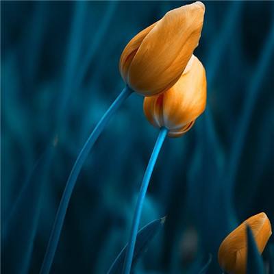 九游会AG下载手机版